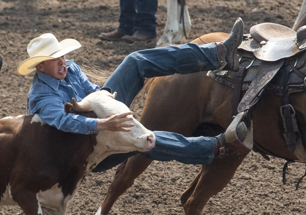 Rodeo, 7.20